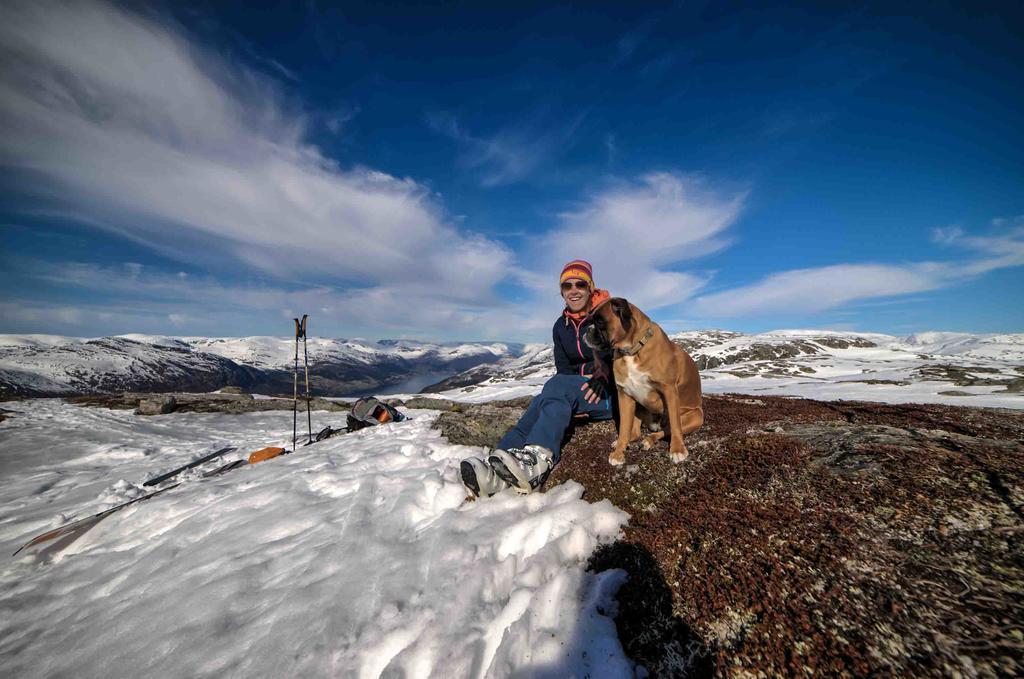 Jolstraholmen Camping Og Hytter Vassenden Dış mekan fotoğraf