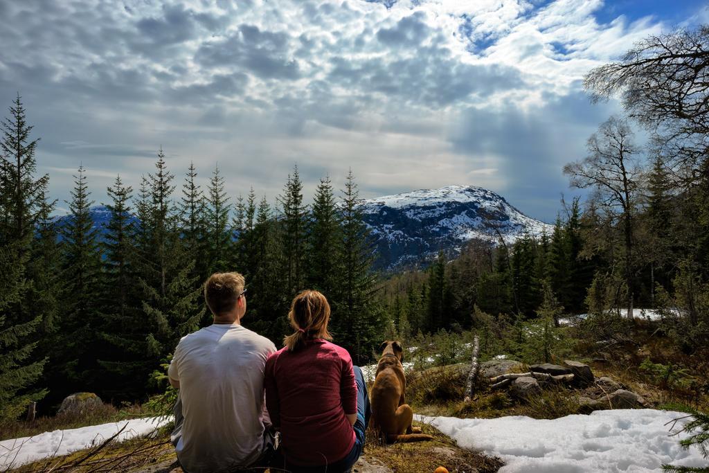Jolstraholmen Camping Og Hytter Vassenden Dış mekan fotoğraf
