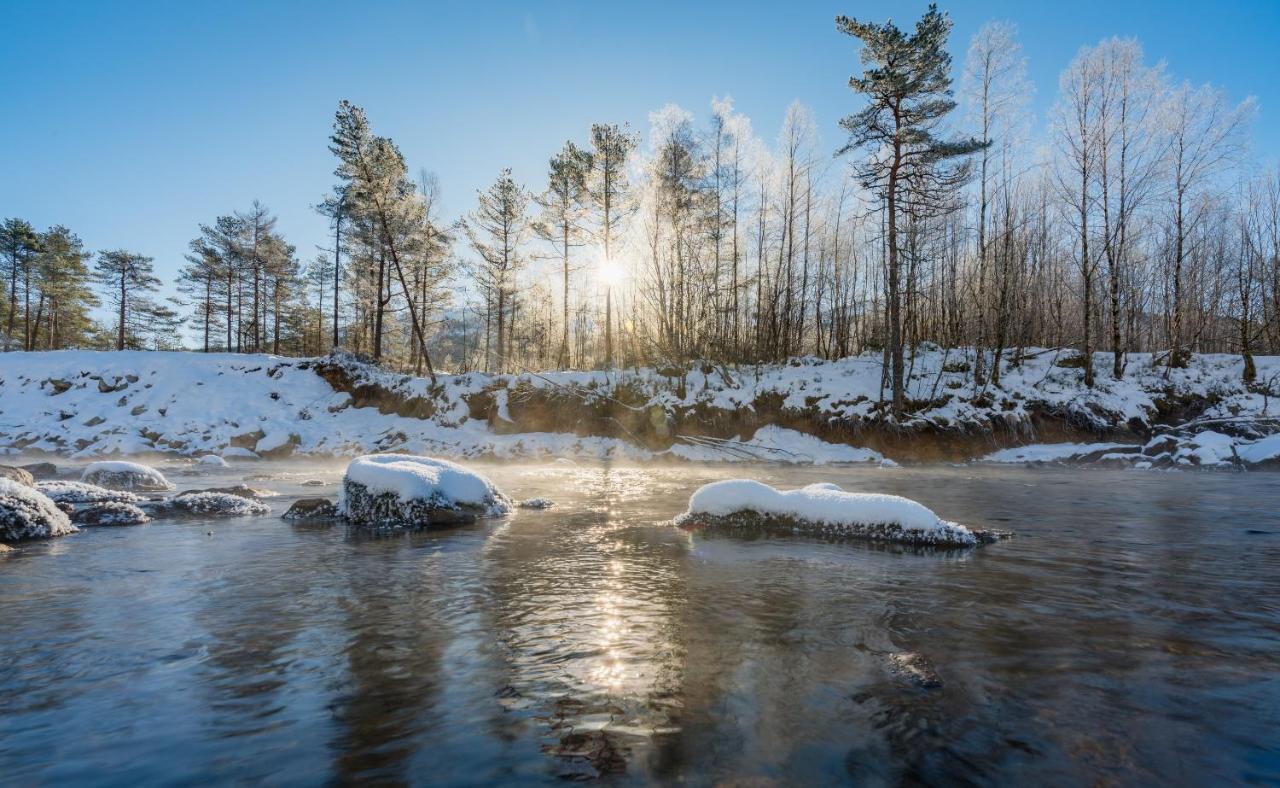 Jolstraholmen Camping Og Hytter Vassenden Dış mekan fotoğraf